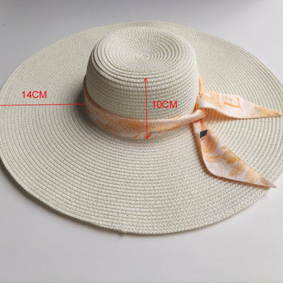 Light Board 14CM Big Brim Straw Hat for Women