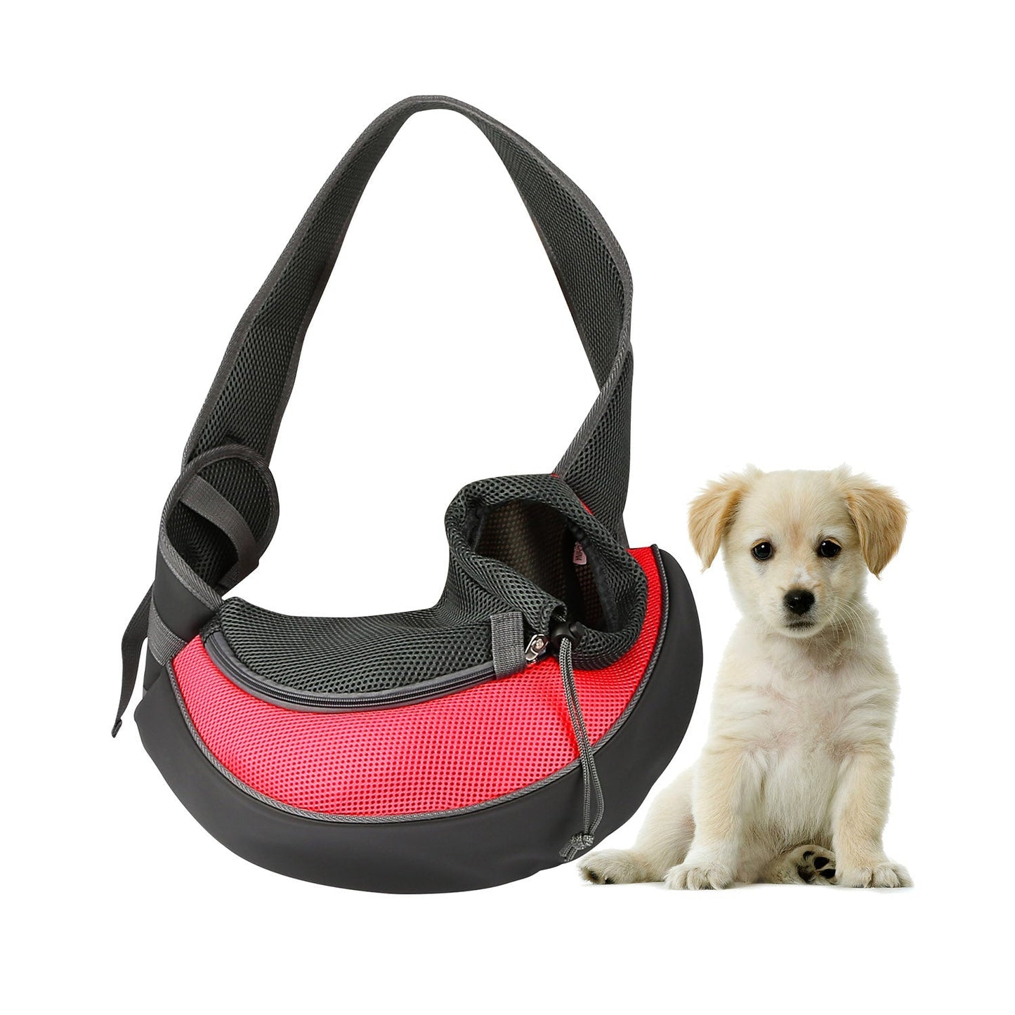 GBruno Transporteur Premium pour Animaux de Compagnie pour Chiens et Chats
