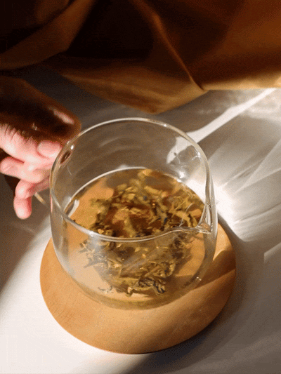 Focus Tea – Sage, Peppermint & Rosemary Greek Herbal Blend - Korvel