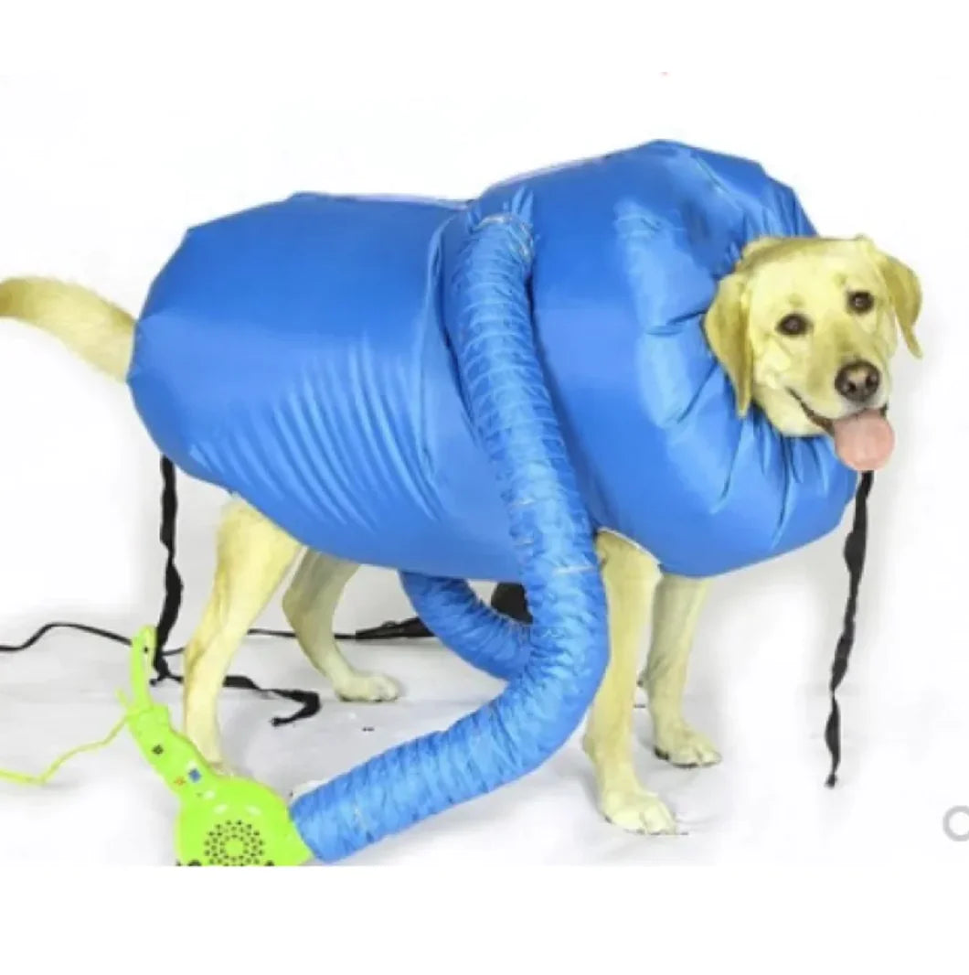 Kit de Sèche-Cheveux pour Chiens Premium pour un Toilettage Sans Effort