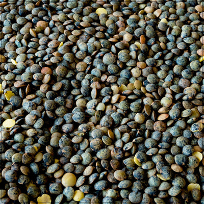 Premium French Lentils - Nutty Flavor & Versatile Use