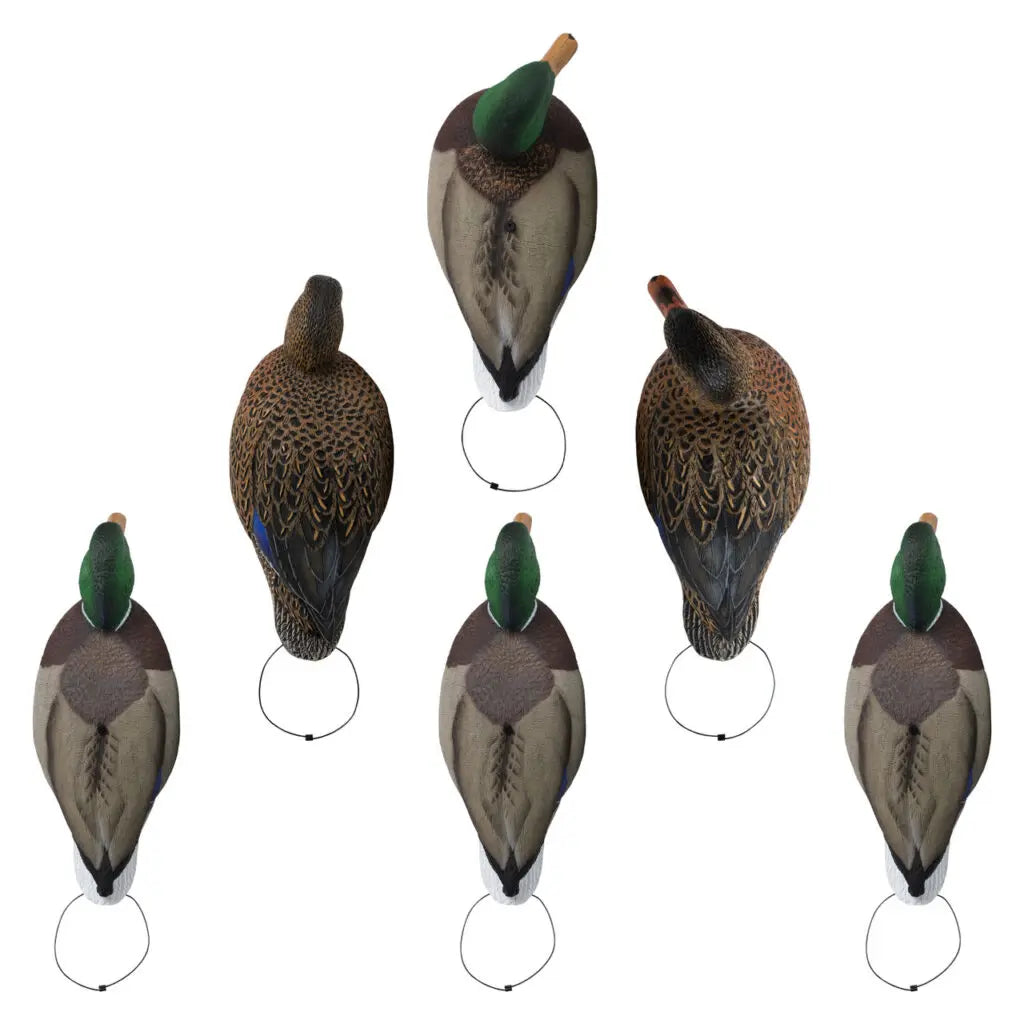 Full Body Mallard Decoys - 6 Pack