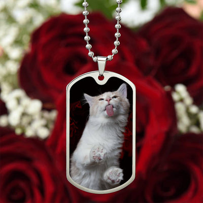 Collar Fuzzy Kitty