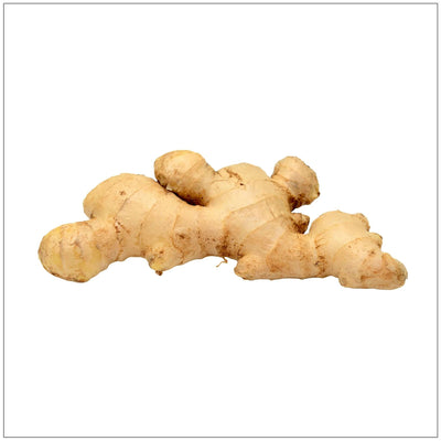 Premium Fresh Ginger Root