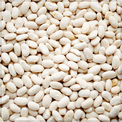 Premium Great Northern Beans - Versatile & Nutritious