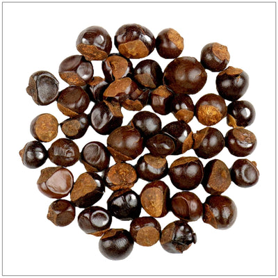 Premium Guarana Seed Powder