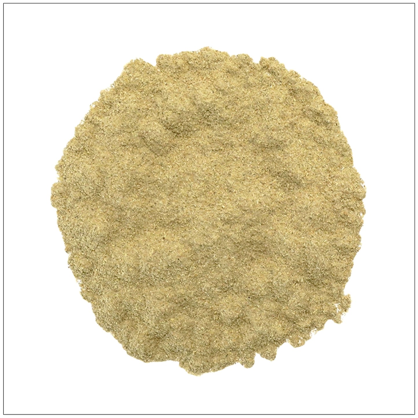 Premium Guduchi Powder - Natural Herbal Supplement