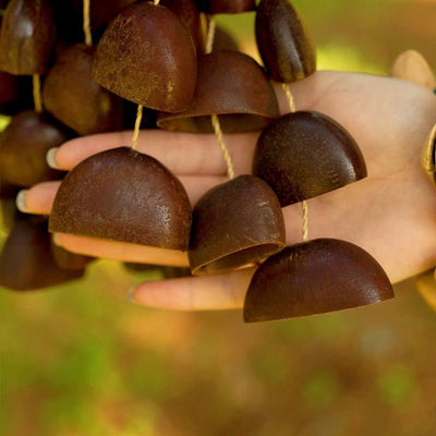 Handmade Juju Duckfoot Vine Seed Shell Hand Bell