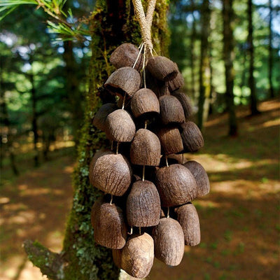 Campana de Mano de Semilla de Salin de Agua Bellwood Hecha a Mano