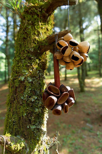 Handmade Juju Seed Pod Wooden Handle Shaker