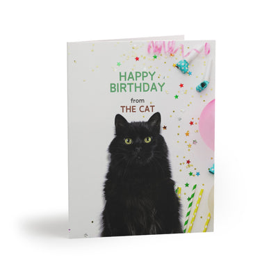Happy Birthday from the Cat Greeting Cards