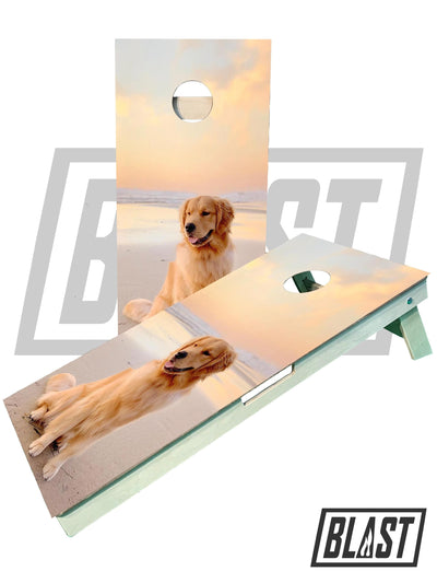 Personalized Pet-Themed Cornhole Boards for Weddings - Korvel