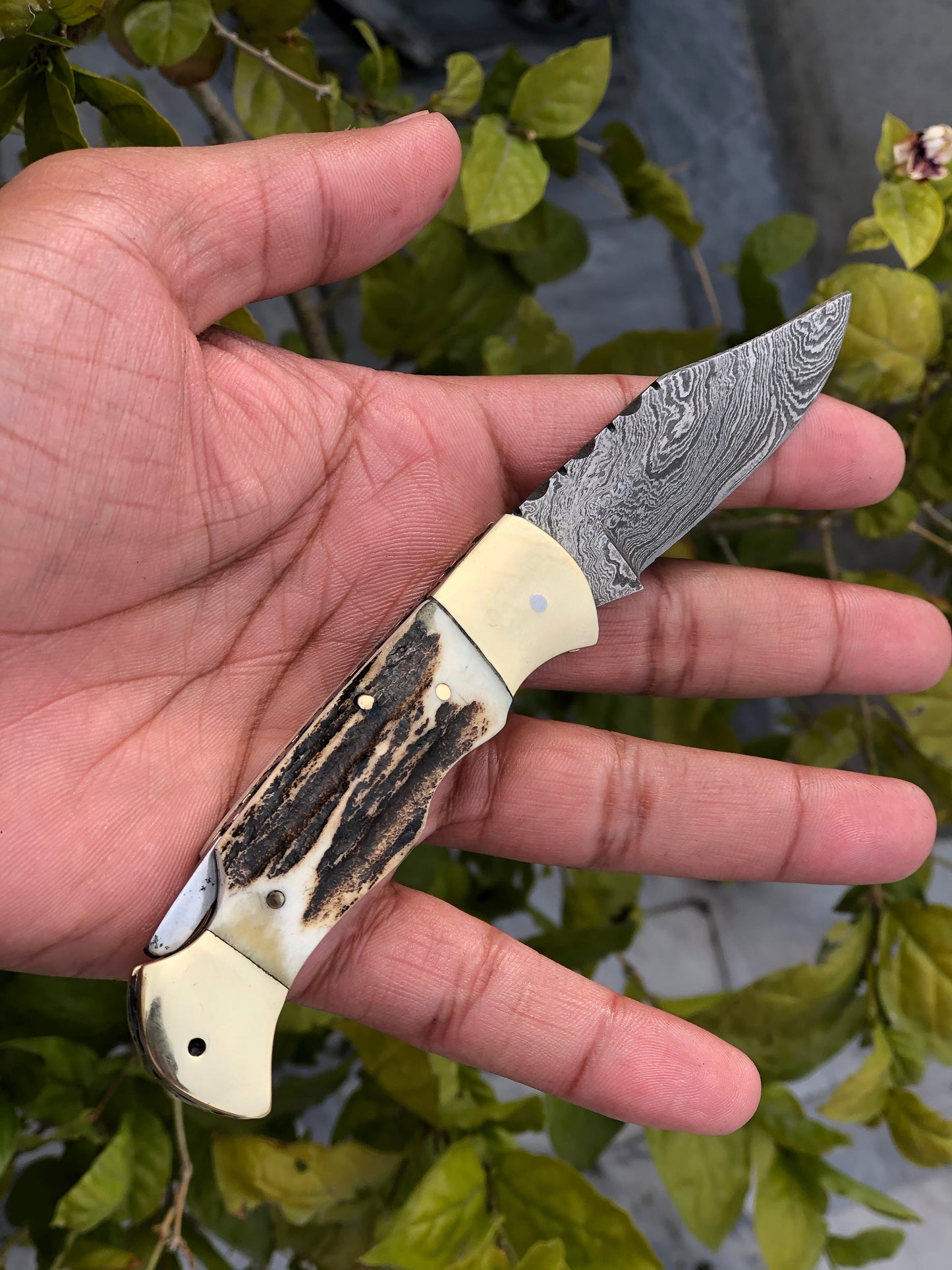 Artisan Crafted Damascus Steel Folding Pocket Knife with Antler Horn Handle and Leather Sheath - Exclusive from KBS Knives - Korvel
