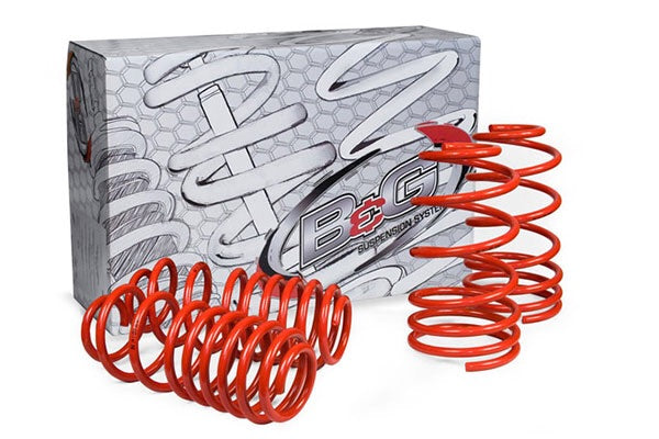 B&G Lowering Springs for 1990-1994 VW Passat