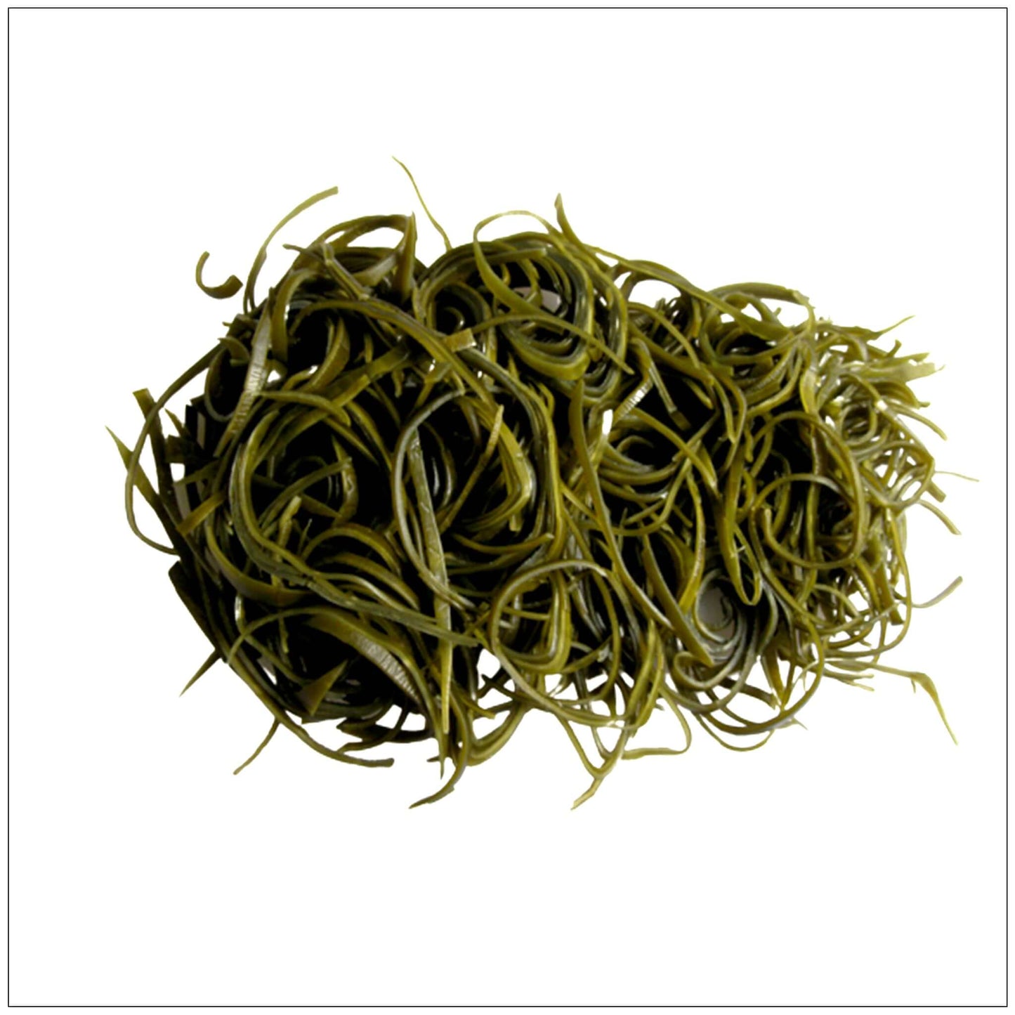Premium Kelp Slices - Dried Sea Vegetable