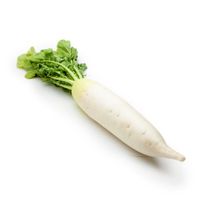 Premium Daikon Radish - Fresh and Flavorful