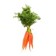 Fresh Carrot Bunch