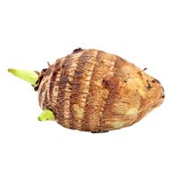 Premium Fresh Taro Root