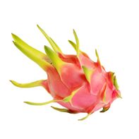 Fruit du dragon premium (Pitaya) - Frais et savoureux