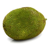 Jackfruit Fresco Premium