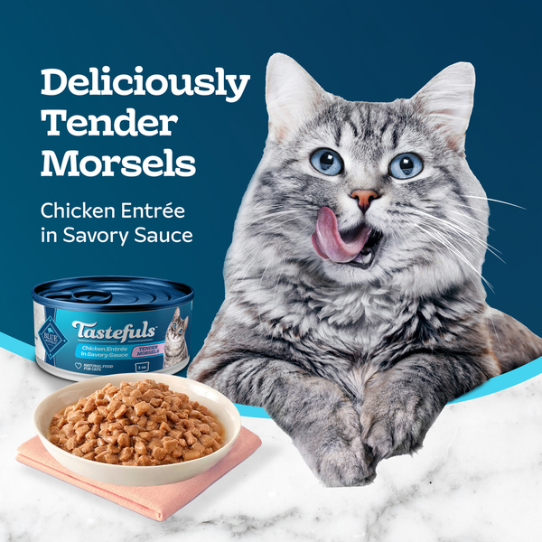 Blue Buffalo Tastefuls Comida Húmeda Natural para Gatos Adultos - Entrée de Pollo