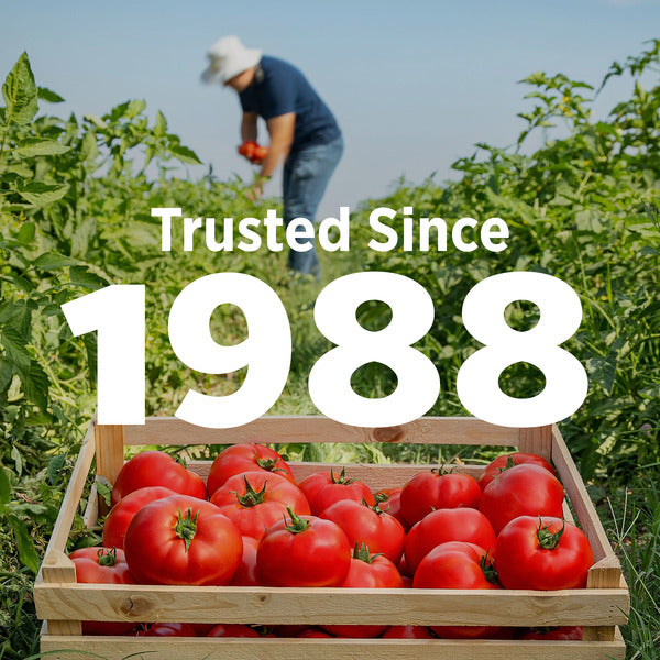 Hunt's Petite Diced Tomatoes