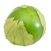 Premium Tomatillo - Fresh and Flavorful