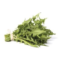 Verdure de Pissenlit Premium