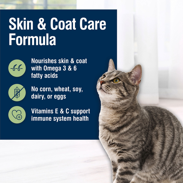 Blue Buffalo True Solutions Perfect Skin & Coat Comida para Gatos, Salmón
