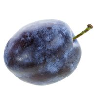 Empress Plum - Premium Fresh Fruit