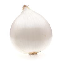 Premium White Onion - Fresh and Flavorful