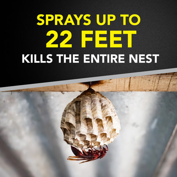 Raid Asesino de Avispas y Hornets - Spray Insecticida para Exteriores