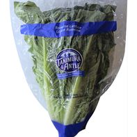 Premium Romaine Lettuce