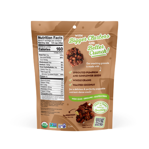 Granola de collation aux morceaux de chocolat noir Go Raw