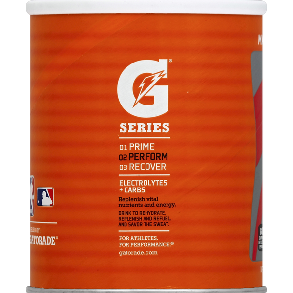 Gatorade Thirst Quencher Instant Powder Mix - Fruit Punch