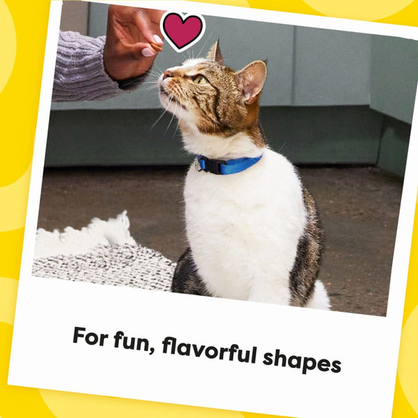 TEMPTATIONS Shakeups Crunchy and Soft Cat Treats - Crustacean Celebration