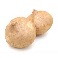 Premium Jicama - Fresh and Crunchy Vegetable