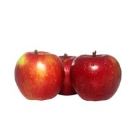 Manzanas McIntosh Premium - Frescas y Sabrosas