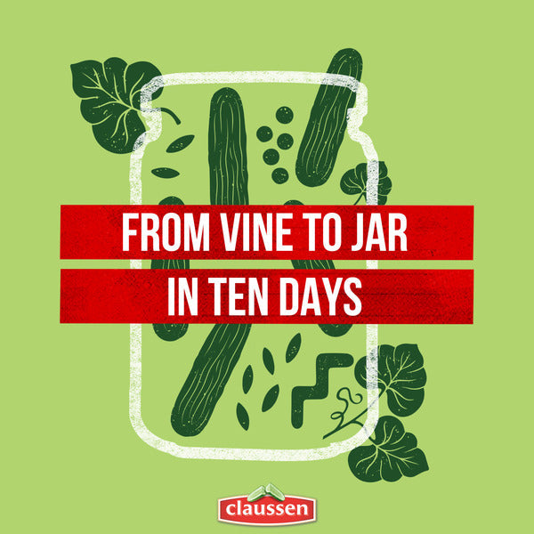 Cornichons Claussen Kosher Dill Mini