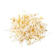 Brotes de Soja Premium