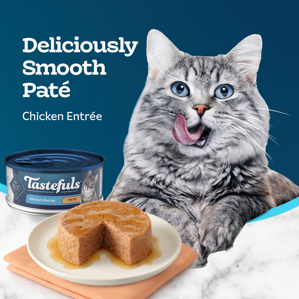 Blue Buffalo Tastefuls Nourriture Humide Naturelle pour Chats Adultes - Paté de Poulet Effiloché