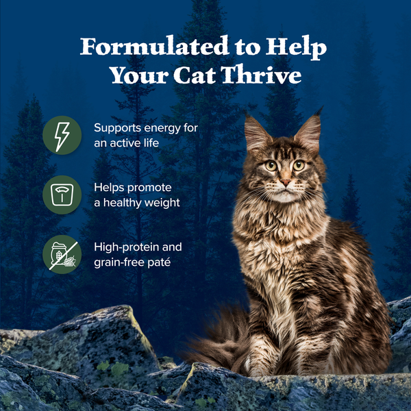Blue Buffalo Wilderness High Protein Grain Free Duck Cat Food