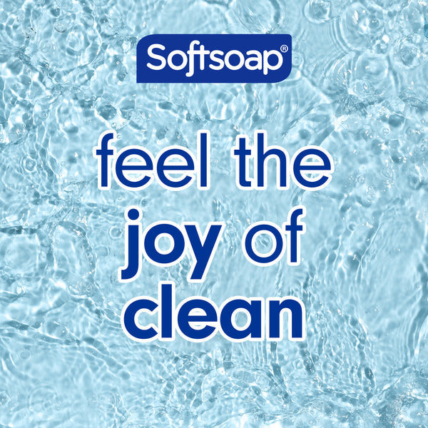 Softsoap Liquid Hand Soap Pump - Aloe Vera Fresh