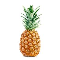 Organic Pineapple - Fresh and Juicy Delight