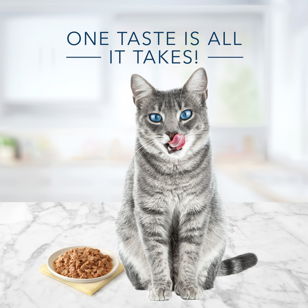 Paquete de Comida Húmeda para Gatos Blue Buffalo Tastefuls con Pescado Desmenuzado