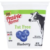 Prairie Farms Fat Free Blueberry Yogurt