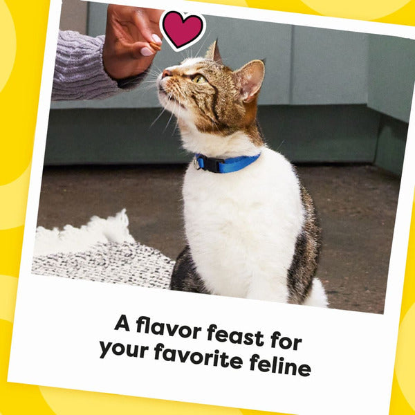 TEMPTATIONS MixUps Friandises Croquantes et Moelleuses pour Chats - Saveur Surfers' Delight