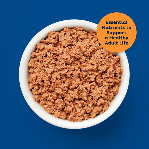 Comida Húmeda para Gatos 9Lives Paté con Pollo Real, Latas de 5.5 oz (paquete de 4)