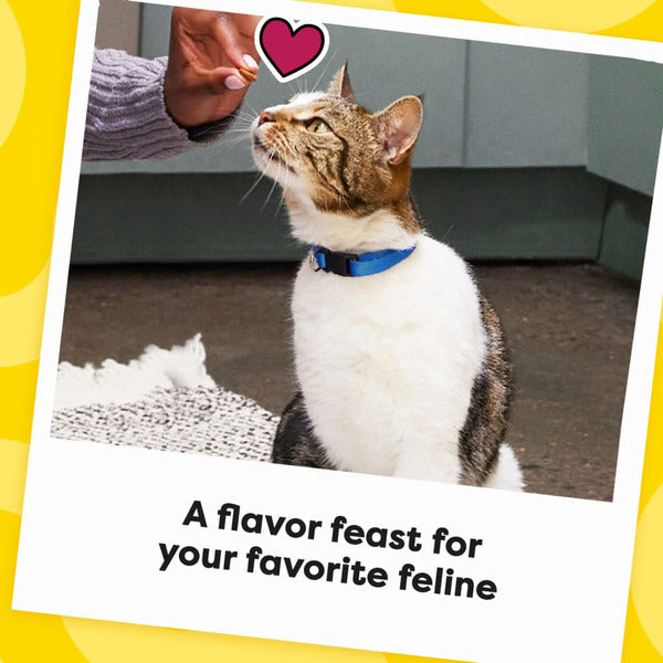 TEMPTATIONS MixUps Friandises Croquantes et Moelleuses pour Chats - Saveur Barbecue
