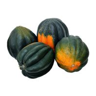 Premium Acorn Squash - Fresh and Flavorful